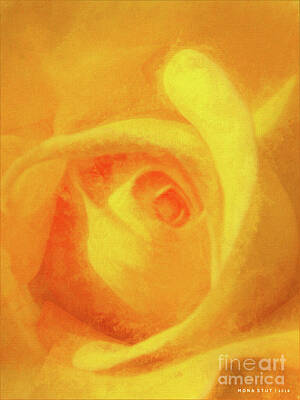 Roses Mixed Media - Yellow Rose Floral Macro by Mona Stut