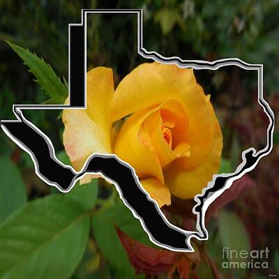 Recently Sold - Roses Mixed Media Royalty Free Images - Yellow Rose of Texas with Texas Royalty-Free Image by Eloise Schneider Mote
