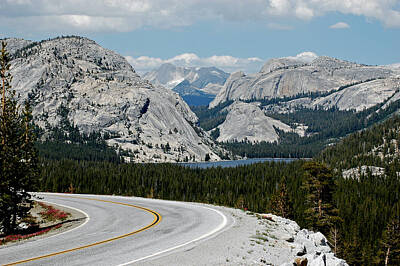 Vintage State Flags - Yosemite Valley Road out of Yosemite by LeeAnn McLaneGoetz McLaneGoetzStudioLLCcom