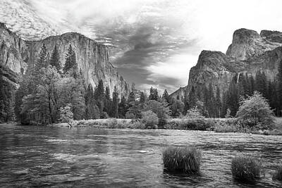 Music Baby - Yosemite Valley View 1228 by Bob Neiman