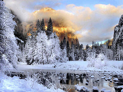 Landscapes Royalty-Free and Rights-Managed Images - Yosemite Wonderland by Patricia Stanton