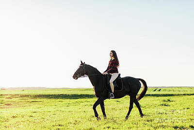 Animals Photos - Young attractive girl riding on a bay horse. by Michal Bednarek