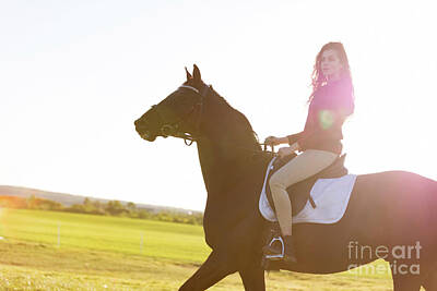 Animals Photo Royalty Free Images - Young girl riding a dark horse in a field on a sunset Royalty-Free Image by Michal Bednarek