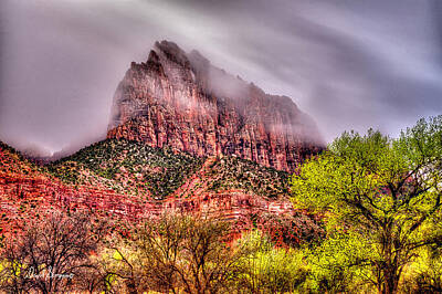 Vintage Pharmacy Rights Managed Images - Zion National Park Royalty-Free Image by David Simpson