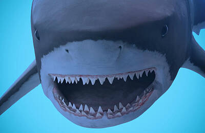 Animals Digital Art - A Portrait of the Jaws of a Great White Shark  by Derrick Neill