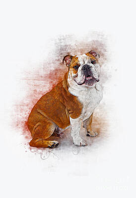 Mammals Digital Art - Bulldog by Ian Mitchell