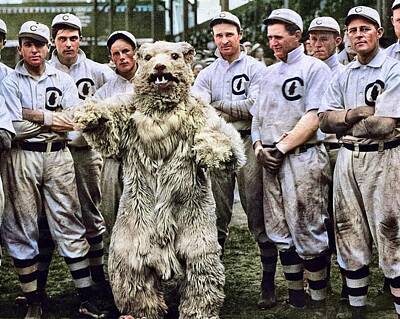 Sports Paintings - Chicago Cubs vintage photo print team photograph bear mascot baseball sports black and white photogr by Celestial Images