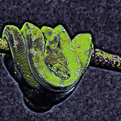 Reptiles Mixed Media - Coiled Emerald Tree Boa by Susan Maxwell Schmidt