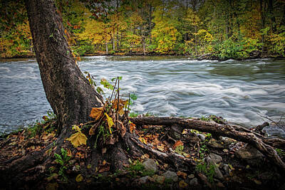 Arf Works - Flowing water on the Thornapple River by Randall Nyhof