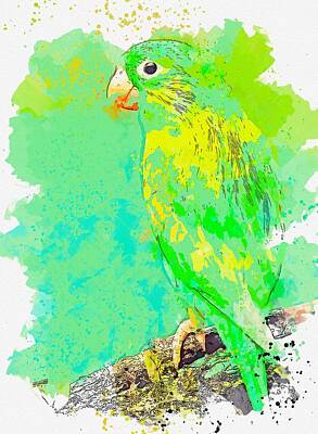 Royalty-Free and Rights-Managed Images - Green Macaw -  watercolor by Ahmet Asar by Celestial Images
