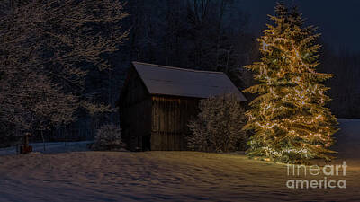 Animals And Earth - Holiday Season in Vermont by Scenic Vermont Photography