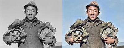 Modern Man Classic London - Japanese farmer with cabbages, Manzanar Relocation Center, California  1945 photograph by Ansel Adam by Celestial Images