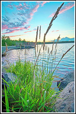 Vintage Camera - Lake Sunset and Sedge Grass Silhouettes, Pocono Mountains by A Macarthur Gurmankin