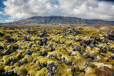 Uncle Sam Posters - Lava Field of Iceland by David Letts
