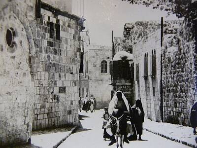 Mother And Child Animals - Middle Eastern City Street Scene Arab Man on Donkey by Celestial Images