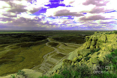 Birds Rights Managed Images - Painted desert landscape Royalty-Free Image by Jeff Swan