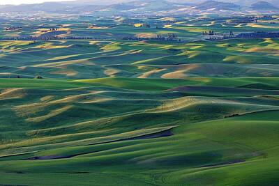 Animal Portraits Royalty Free Images - The rolling hills of the Palouse Royalty-Free Image by Frank Shoemaker
