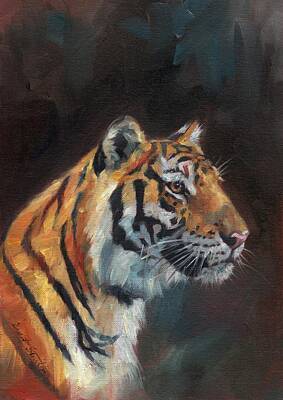 Portraits Royalty-Free and Rights-Managed Images - Portrait of a Tiger by David Stribbling