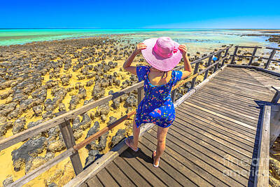 Prescription Medicine Rights Managed Images - Woman enjoys Stromatolites Royalty-Free Image by Benny Marty