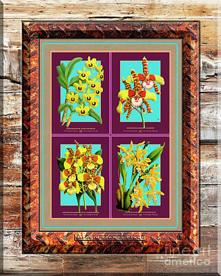 Classic Christmas Movies - Antique Orchids Quatro on Rusted Metal and Weathered Wood Plank by Baptiste Posters