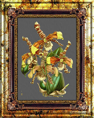 Royalty-Free and Rights-Managed Images - Vintage Orchid Antique Design Marble Golden Moon by Baptiste Posters