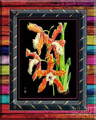 Floral Drawings Rights Managed Images - Orchid on Rusty Metal and Weathered Colored Planks Royalty-Free Image by Baptiste Posters