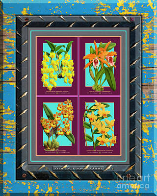 Florals Drawings - Antique Orchids Quatro on Rusted Metal and Weathered Wood Plank by Baptiste Posters