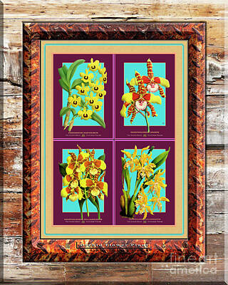 Life Is Good - Antique Orchids Quatro on Rusted Metal and Weathered Wood Plank by Baptiste Posters