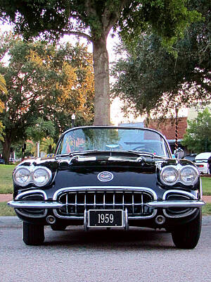 Animal Portraits Royalty Free Images - 1959 Corvette 000 Royalty-Free Image by Christopher Mercer
