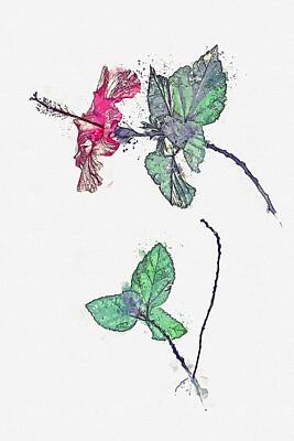 Modern Comic Designs - Hibiscus 2 -  watercolor by Ahmet Asar by Celestial Images