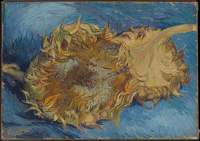 Sunflowers Paintings - Sunflowers 1887 by Vincent van Gogh
