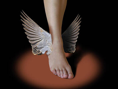 Surrealism - Wings by Jaime Enriquez