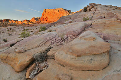 Zen Garden - First Light on Valley of Fire by Ray Mathis