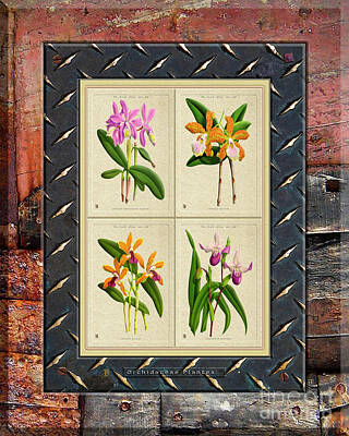 Amy Hamilton Watercolor Animals - Orchids Antique Quadro Weathered Plank Rusty Metal by Baptiste Posters