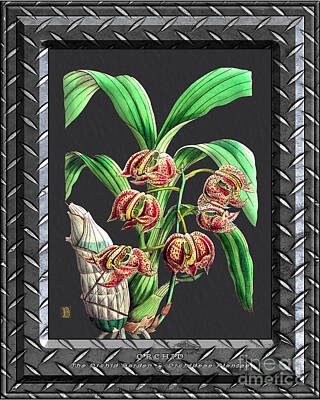Tribal Patterns Rights Managed Images - Classic Vintage Orchid and Hyper-Realism Painting Metal Silver Royalty-Free Image by Baptiste Posters
