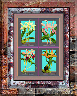 Lets Be Frank - Antique Orchids Quatro on Rusted Metal and Weathered Wood Plank by Baptiste Posters