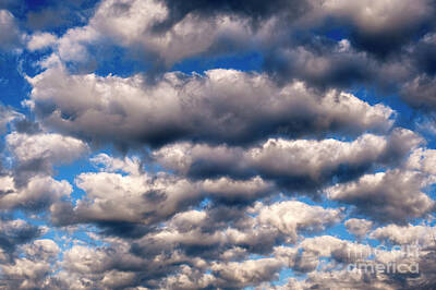 Mans Best Friend Rights Managed Images - Fair Weather Cumulus Clouds Royalty-Free Image by Jim Corwin