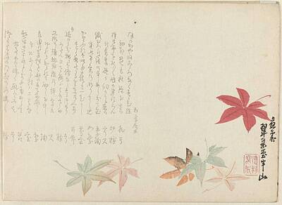 Movies Star Paintings - Japanse esdoorn, Matsukawa Hanzan, c. 1815 - 1882 by Matsukawa Hanzan