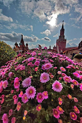 Travel Pics Digital Art Royalty Free Images - Red Square. Moscow Autumn.  Royalty-Free Image by Andy i Za
