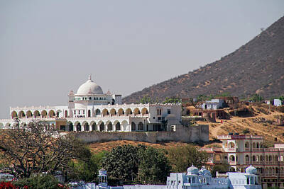 Catch Of The Day - Town View of Pushkar by Carol Ailles