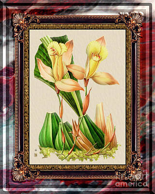 Spring Fling - Vintage Orchid Antique Design Marble Red Rouge by Baptiste Posters