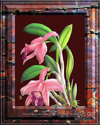 Disney - Classic Vintage Orchid and Hyper-Realism Painting of Rusted Metal by Baptiste Posters