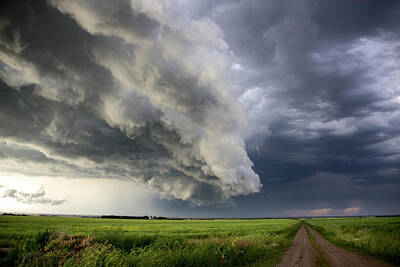 Katharine Hepburn - Prairie Storm Clouds Canada by Mark Duffy