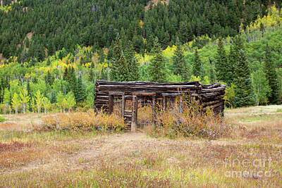 Lets Be Frank - Homestead in Ashcroft 2 by Lynn Sprowl
