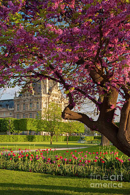 Cities Rights Managed Images - Jardin des Tuileries Royalty-Free Image by Brian Jannsen