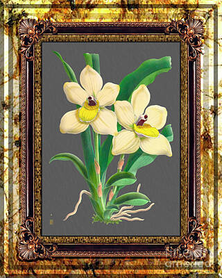 Back To School For Guys - Vintage Orchid Antique Design Marble Golden Moon by Baptiste Posters