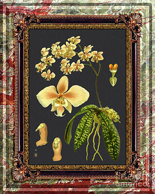 Michael Jackson - Vintage Orchid Antique Design Onyx Dark Pakistan by Baptiste Posters