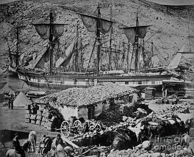 Adventure Photography - Balaclava, Crimea, 1855 by Roger Fenton