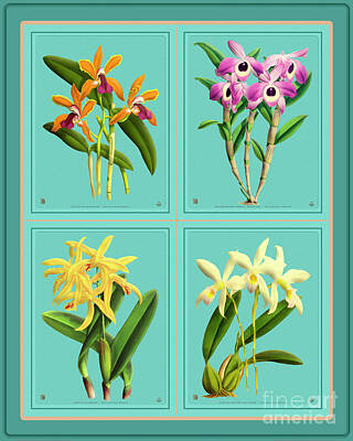 Lighthouse - Orchids Quatro Collage by Baptiste Posters