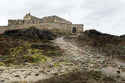 Sultry Plants Rights Managed Images - The beach and Fort National during low tide in Saint Malo Royalty-Free Image by Stefan Rotter